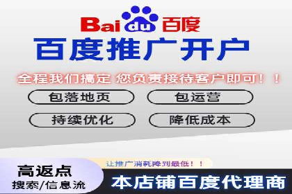 某知名品牌SEM运营策略及效果评估
